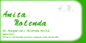 anita molenda business card